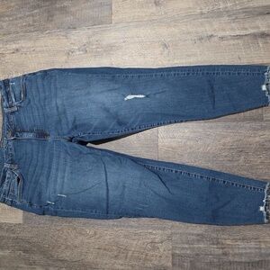 Kut from the Kloth Jeans Women's Size 16W Ankle Skinny Raw Hem